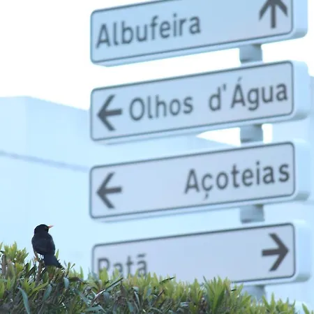 Summertime - Private Jacuzzi And Bikes, 800m Albufeira